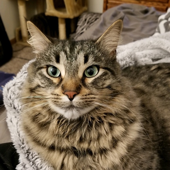 Meet your Posher, Melanie - Picture 1 of 1